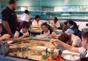 Kanadese studente besoek Gansbaai Academia